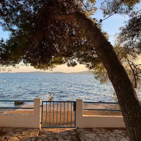 Seaside Apartment Padre Bibinje Luaran gambar